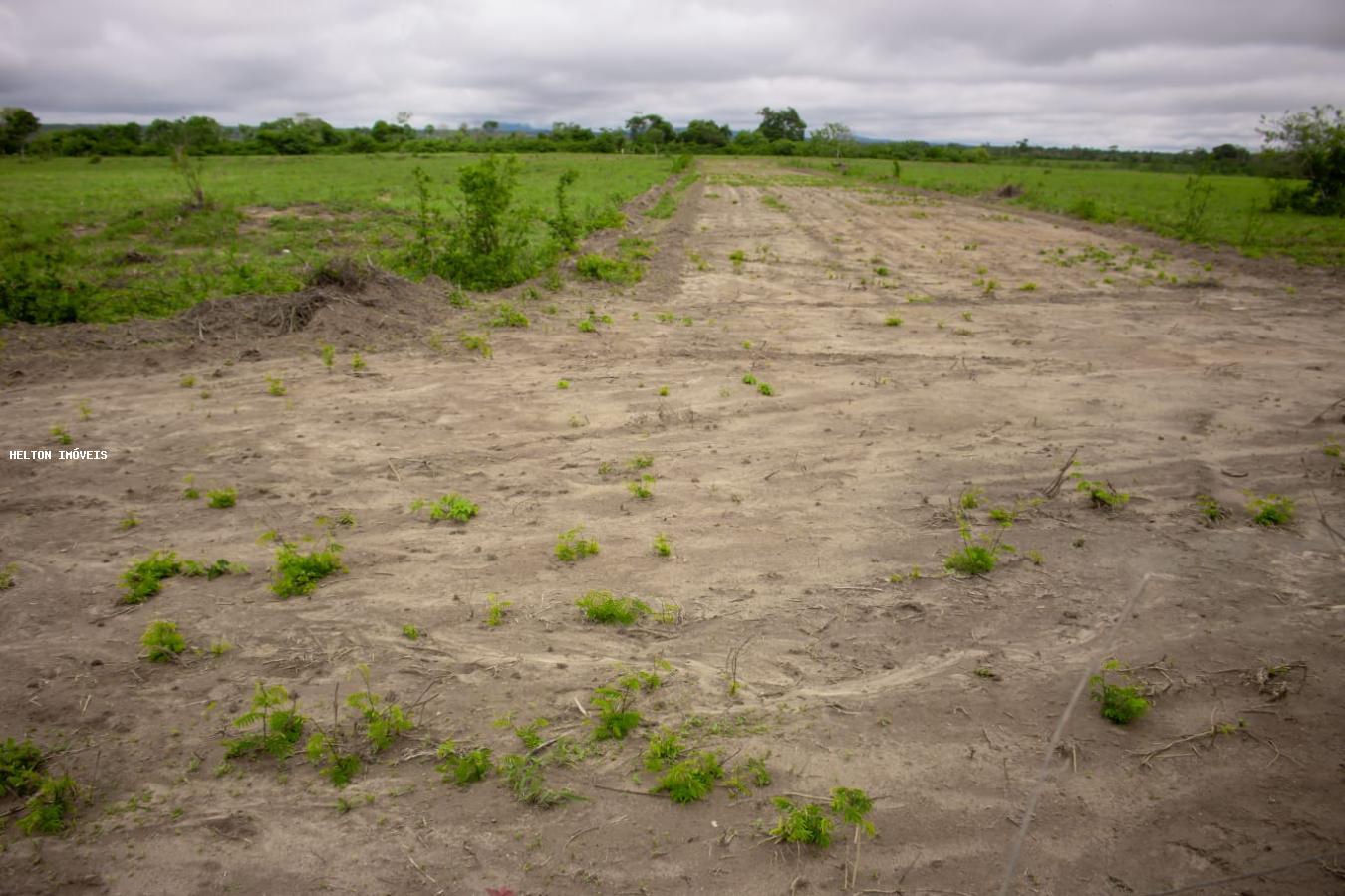 Chácara à venda, 1000m² - Foto 12